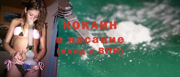 хмурый Няндома