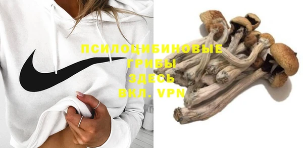 PSILOCYBIN Нязепетровск
