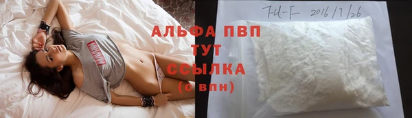 хмурый Няндома