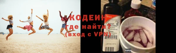 хмурый Няндома