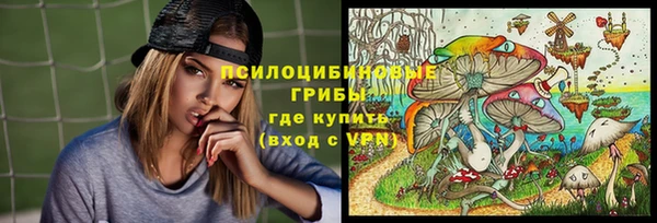 PSILOCYBIN Нязепетровск