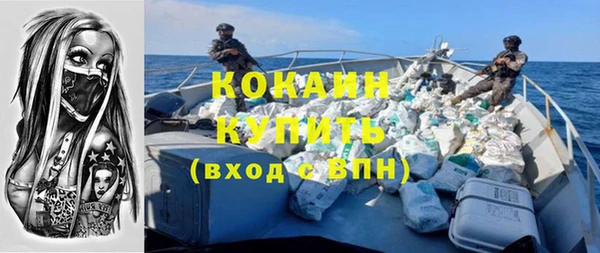 хмурый Няндома