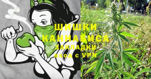 хмурый Няндома