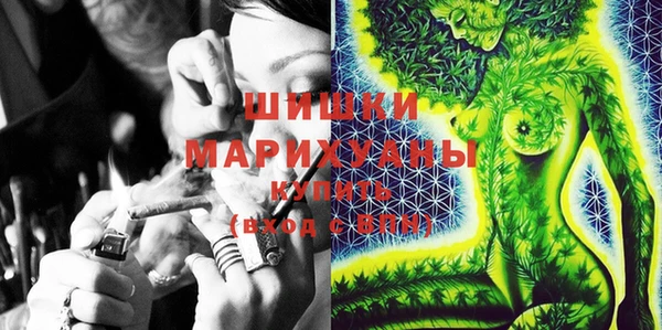 индика Краснослободск