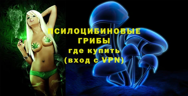 круглые Нягань