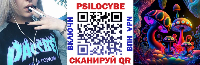 Галлюциногенные грибы Psilocybe хочу наркоту Красновишерск